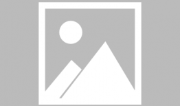 吃瓜娱乐圈博主推荐小说,瓜田里的明星秘闻录